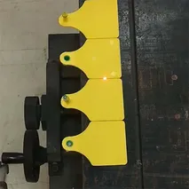 وسم بالليزر على بطاقات أذن الحيوانات